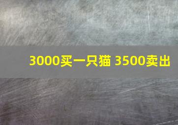 3000买一只猫 3500卖出